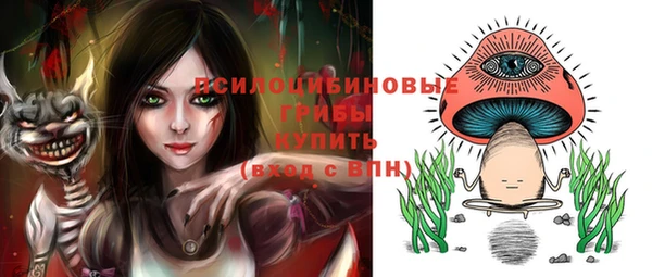 гидропоника Алзамай